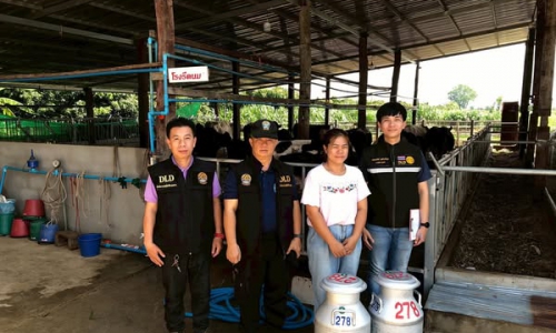 ปศุสัตว์เชียงใหม่ร่วมลงพื้นที่ ตรวจสอบปริมาณน้ำนมโค และประชากรโคนมทั้งระบบ ระดับจังหวัด 6-10 พฤษภาคม 2568