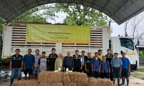 ปศุสัตว์จังหวัดเชียงใหม่มอบหญ้าอาหารสัตว์พระราชทานให้กับเกษตรกรที่ได้รับผลกระทบจากน้ำป่าไหลหลากในพื้นที่อำเภอแม่แตง