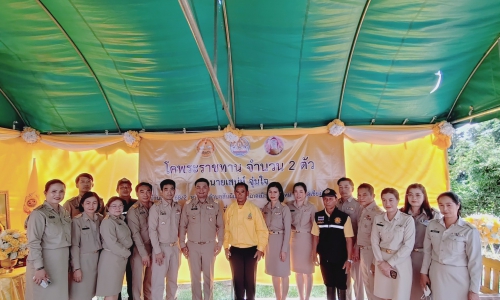 สำนักงานปศุสัตว์จังหวัดเชียงใหม่ จัดพิธีมอบโคพระราชทาน  ให้แก่เกษตรกรในอำเภอเมืองเชียงใหม่