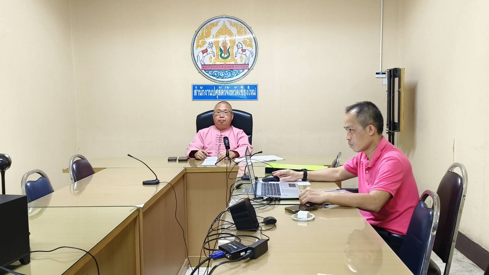 557461588 1246268844207385 7083770975364050854 n